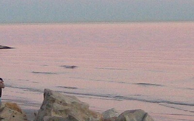 Galveston Seawall from Frisco — 4 days in Galveston