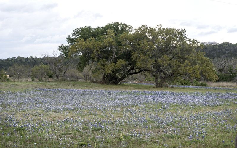 Fredericksburg from Frisco — 4 days in Texas Hill Country