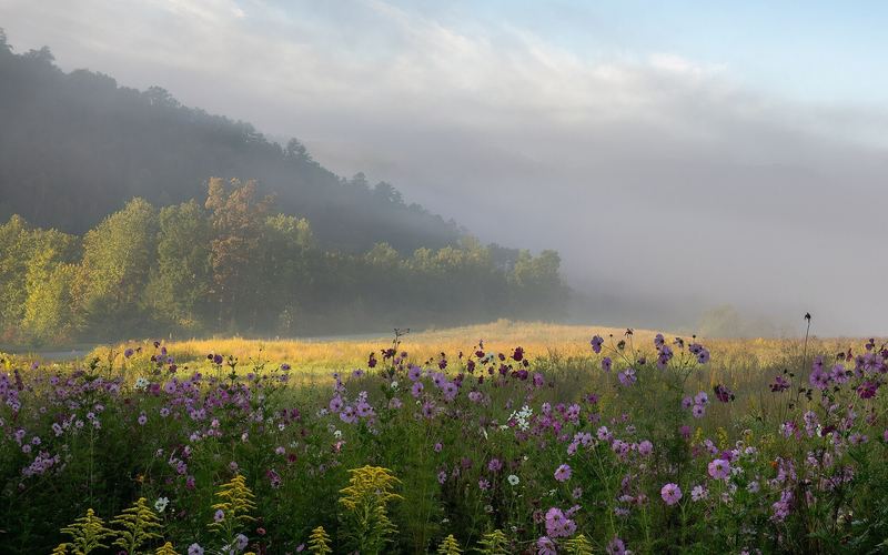 Dollywood's DreamMore and one park day — 4 days in Great Smoky Mountains