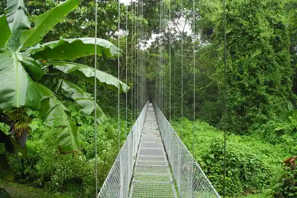 Místico Arenal Hanging Bridges (self-guided)